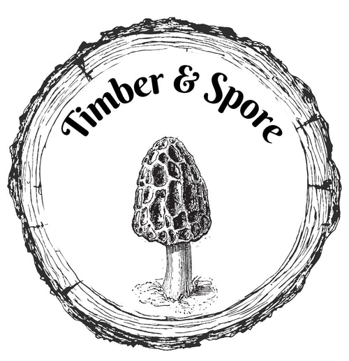 Timber & Spore
